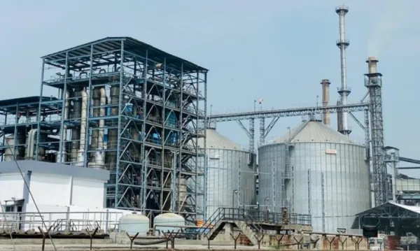 ENA Spirit Plant
